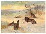 Archibald Thorburn Close of a Winter's Day painting